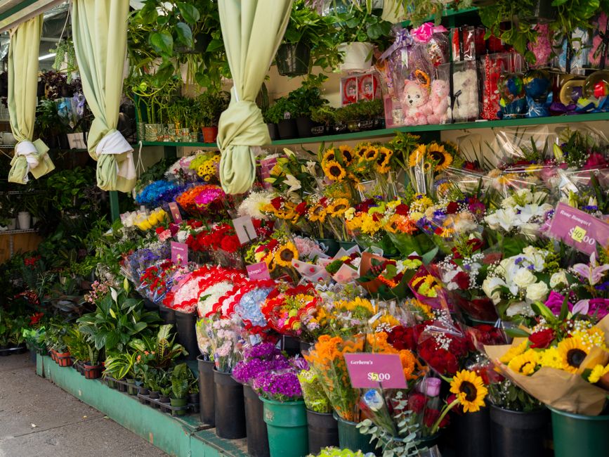 A vibrant floral display outside Flowers Harold Park showcasing a variety of fresh flower bouquets arranged on a green shelving unit. The bouquets include bright yellow sunflowers, white lilies, red r