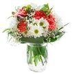 Bright and welcoming, this bouquet delivers the spirit of a spring morning in Harold Park-fresh, uplifting, and crafted with care. At the heart of the arrangement, plush coral-hued carnations unfold in layers, their dynamic ruffles creating a soft exuberance. Surrounding them, white daisies with vivid green centers open with joyful simplicity; each blossom echoes purity and hope, like wildflowers along local pathways. Misty threads of baby's breath weave throughout, lending an airy grace that softens and unifies the larger blooms. Rich green foliage, both broad and shimmering, forms a gentle collar around the bouquet, cradling the flowers and anchoring the design with natural elegance. The ensemble rests in a clear glass vase filled with fresh water, where the strong green stems are visible beneath the surface-a subtle nod to the arrangement's country charm and local craftsmanship. Even, natural lighting highlights every colour and crease, imbuing the bouquet with vibrant clarity against the pristine white background. Whether given as a birthday surprise, a gesture of thanks, or a gift to brighten a loved one's flat near Harold Park, this thoughtfully composed arrangement invites a sense of joy and renewal into any space.